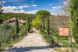 Arriving at Villa Felceto Tuscan holiday villa